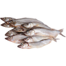 Мойва свежемороженая «РыбаХит» с головой, 1 кг #0